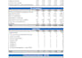 prepare financial projections, business plan and forecasts